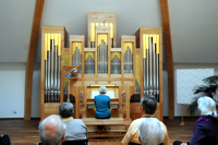 Rohlf Orgel