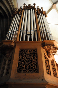 Reinisch Orgel